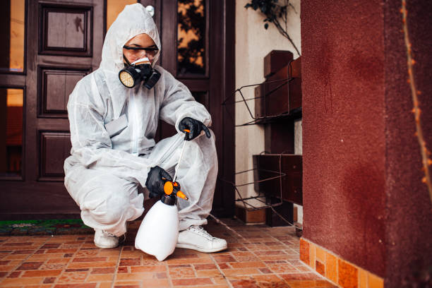 Reliable Cockroach Control contractor in Nixon, TX by Nex Pest Control